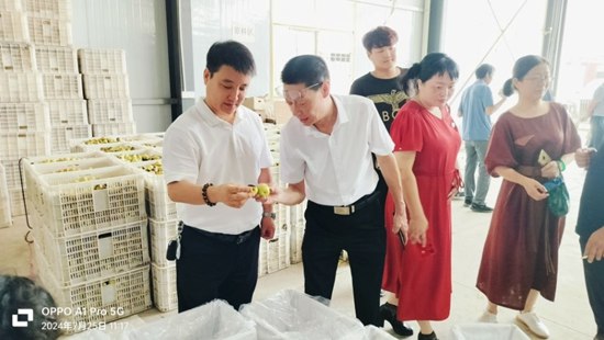 圖片8