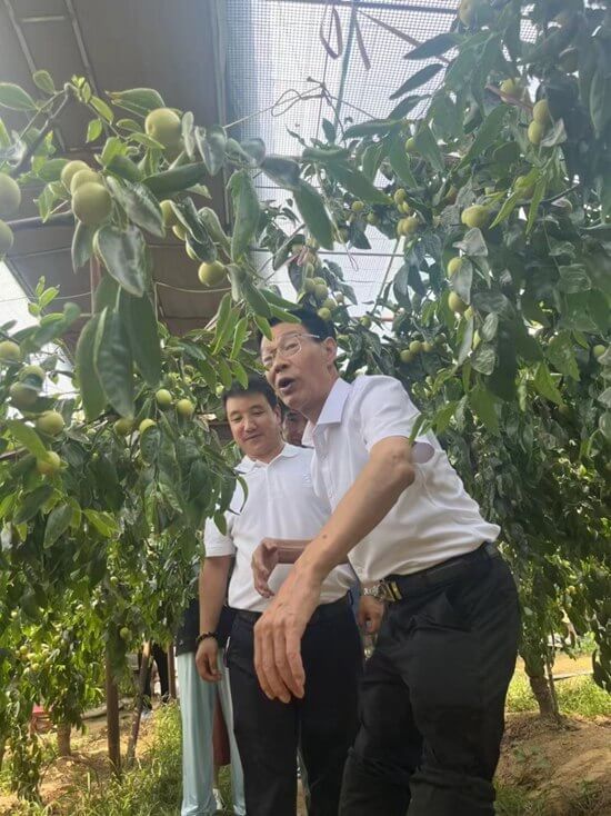 圖片11