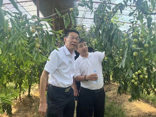 圖片14